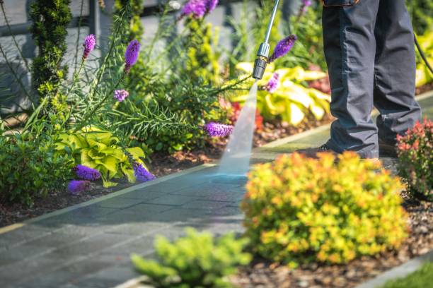 Trusted Heceta Beach, OR  Pressure Washing Services Experts