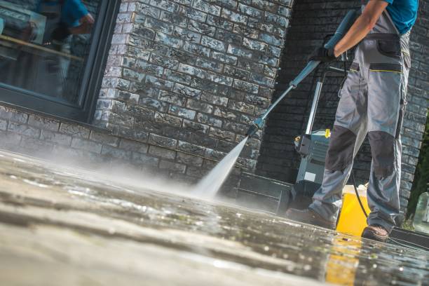 Best Soft Washing  in Heceta Beach, OR